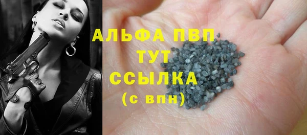 винт Гатчина