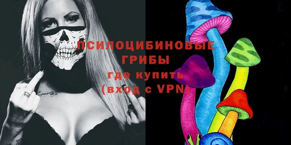 бошки Гвардейск