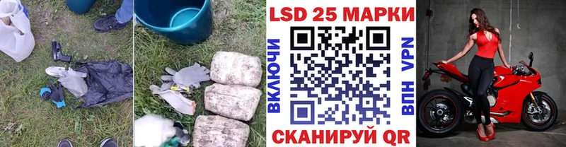 блэк спрут вход  Камбарка  Лсд 25 экстази кислота 
