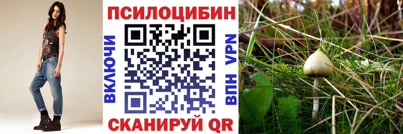 Галлюциногенные грибы MAGIC MUSHROOMS  где можно купить   Камбарка 