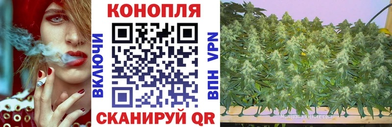 Бошки марихуана сатива Камбарка